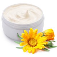 Jar of cream and calendula flower on a white background.